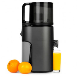 Соковыжималка Hurom H400-BEC05TG, титановый